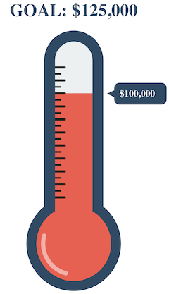 Goal Thermometer grey and red Goal Thermometer grey and red